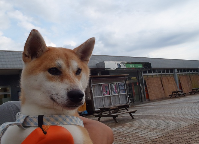 f0230777_1625181.jpg