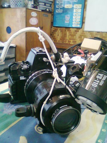 a0108380_13141290.jpg