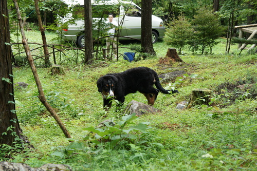d0065484_0592428.jpg