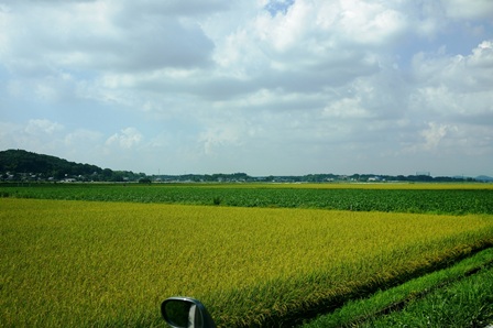 b0236985_15211356.jpg