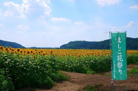 b0236985_15265852.jpg