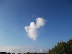 f0235289_829225.jpg
