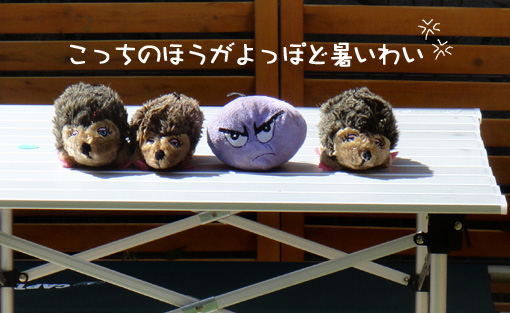 c0094999_1135530.jpg