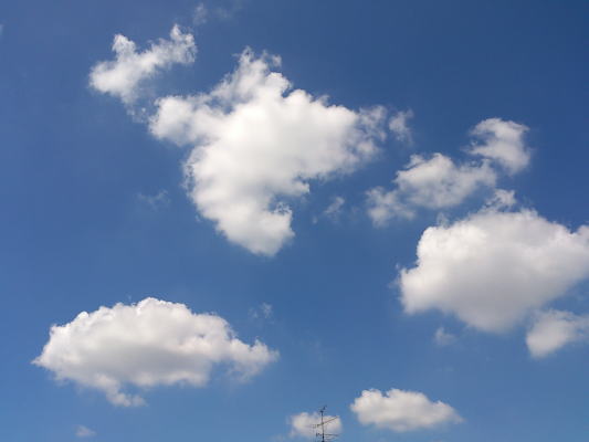 b0160300_12523254.jpg