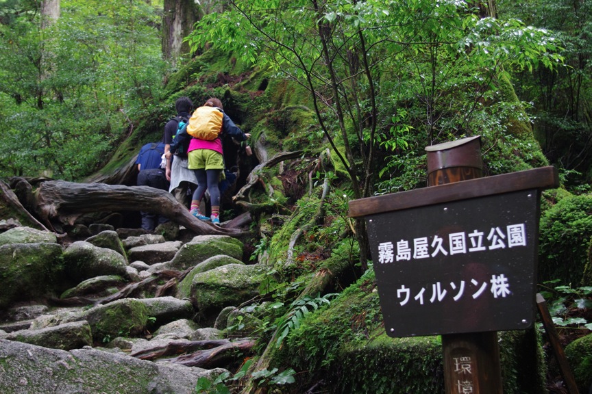 c0095900_16223560.jpg