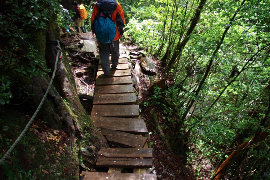 c0095900_16264217.jpg