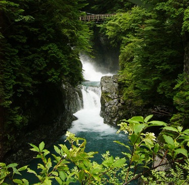 e0115301_1259919.jpg