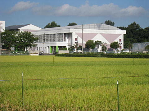 d0046702_12135018.jpg