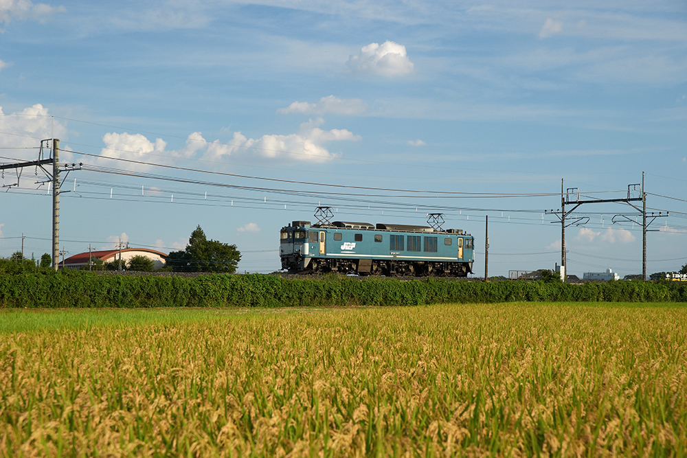 b0221605_8554042.jpg