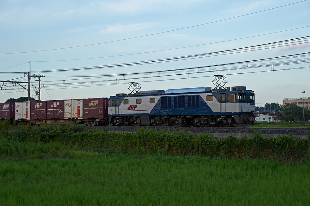 b0221605_8572616.jpg