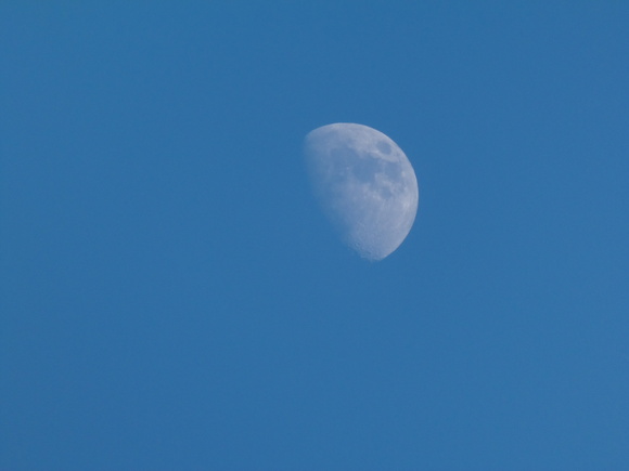 f0190009_1182923.jpg