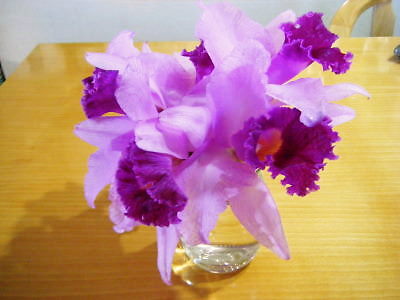 c0118715_2233296.jpg