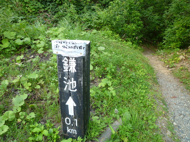 d0170615_9212023.jpg