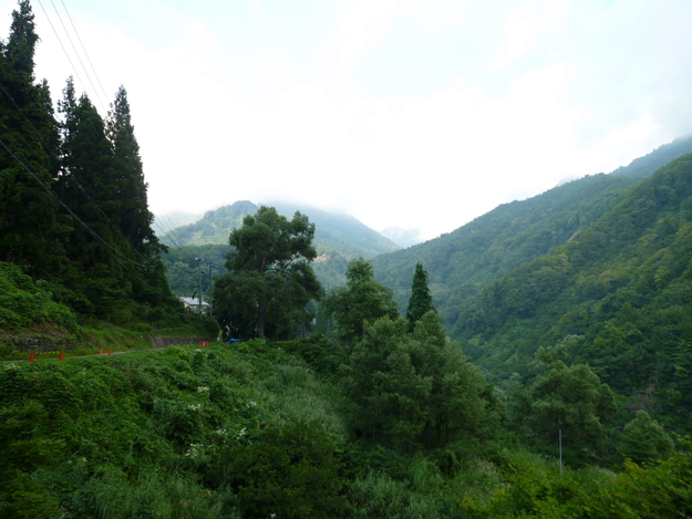 d0170615_9224521.jpg