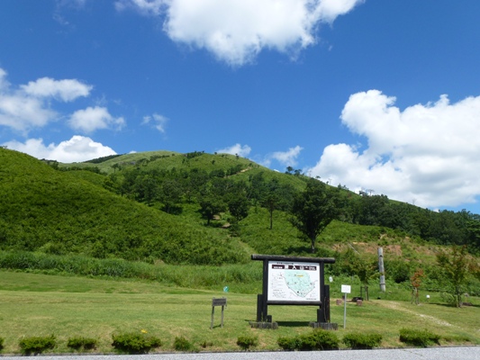 c0042418_818877.jpg
