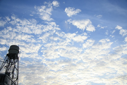 b0255523_162545.jpg