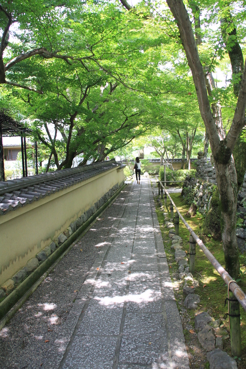b0162824_20543155.jpg