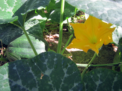 f0234936_6493178.jpg