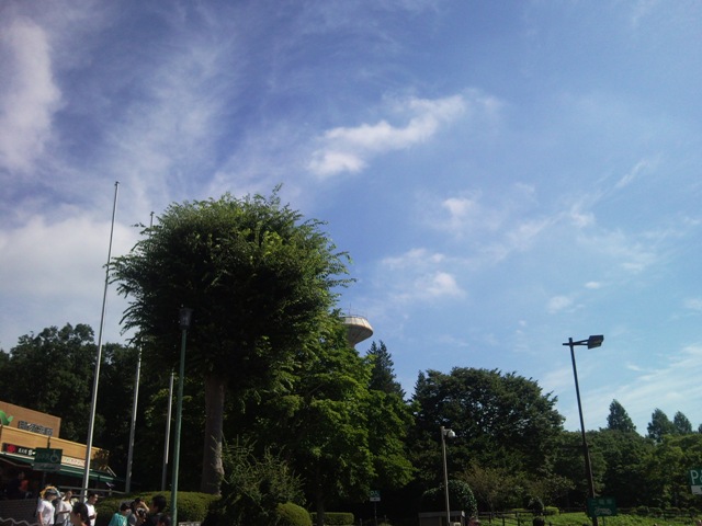 e0150843_1962870.jpg