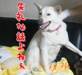 f0195543_21502913.jpg