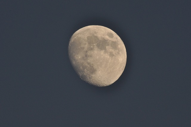 b0104861_1921397.jpg