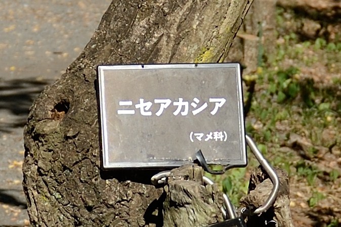 f0222161_20115829.jpg