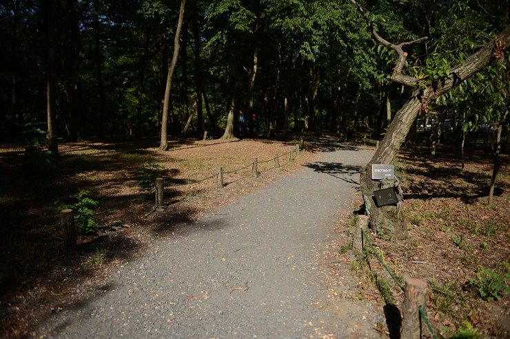 f0222161_20121150.jpg