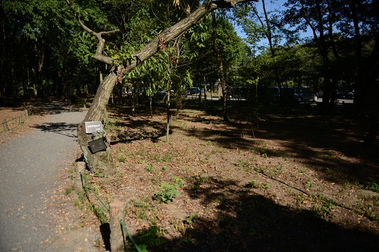 f0222161_20121960.jpg