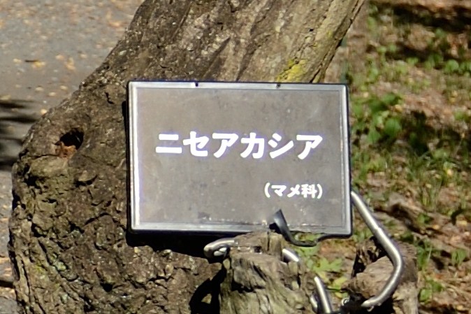 f0222161_20122124.jpg