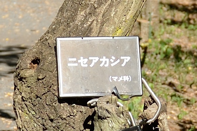 f0222161_201224.jpg