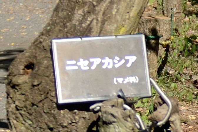f0222161_20122922.jpg