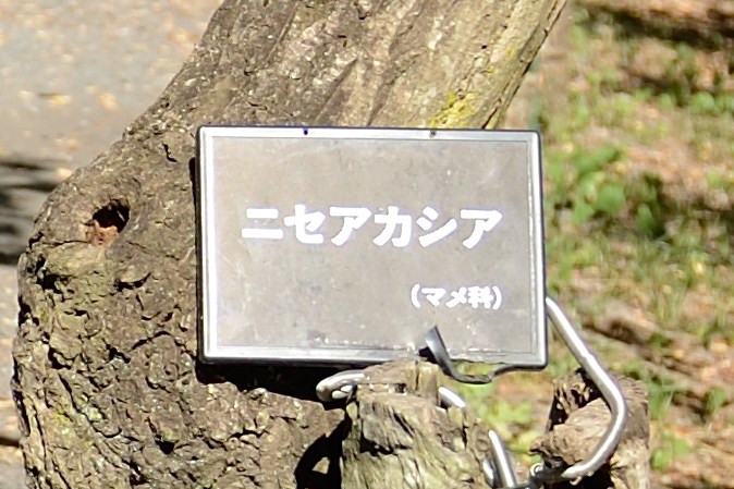 f0222161_2012823.jpg