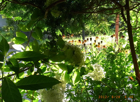b0075364_16395483.jpg