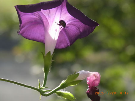 b0075364_1640551.jpg