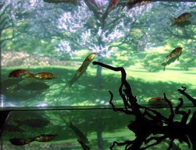 c0050264_10314853.jpg
