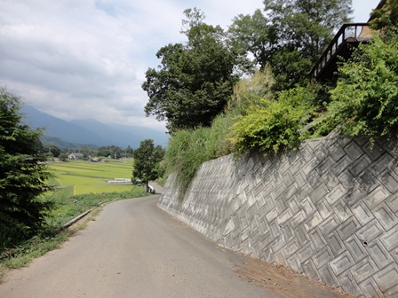 d0152765_21523786.jpg