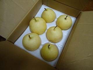e0002466_2011188.jpg
