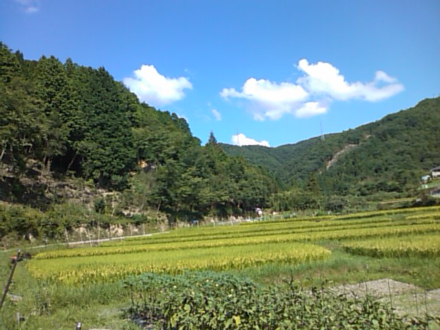 f0061067_2152624.jpg