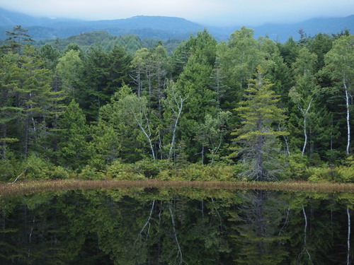 c0144868_0251468.jpg