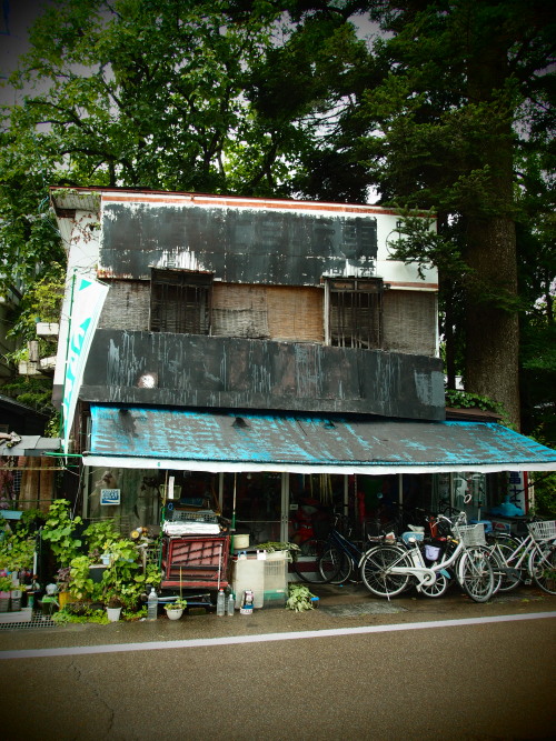 c0122670_65844.jpg