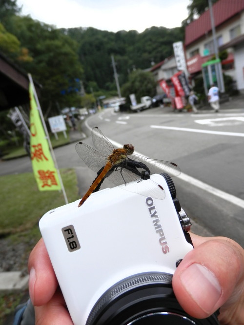 c0122670_75435.jpg