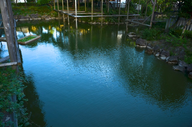 b0247073_21573627.jpg