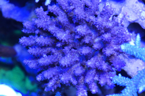 a0161975_1327475.jpg