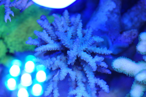 a0161975_132809.jpg