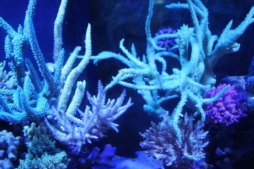 a0161975_1353425.jpg