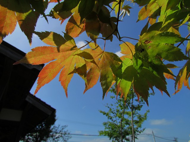 c0183777_14251012.jpg