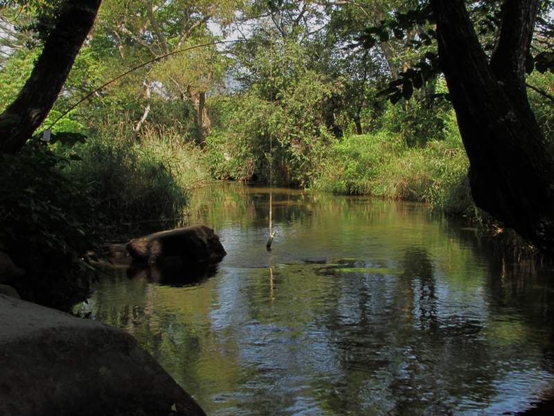 c0183777_14295392.jpg