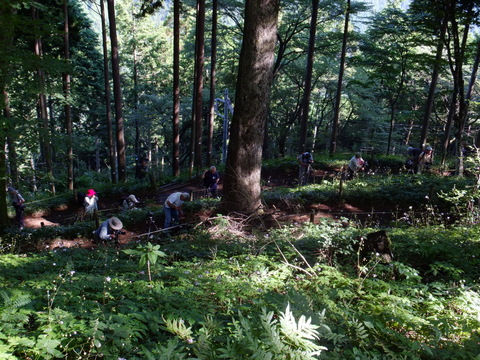 a0043982_1524201.jpg