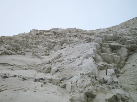 f0141785_5485996.jpg