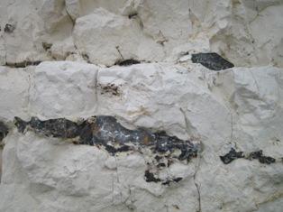 f0141785_550035.jpg